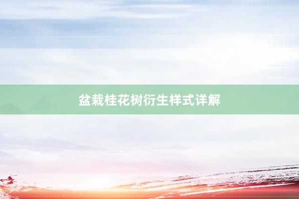 盆栽桂花树衍生样式详解